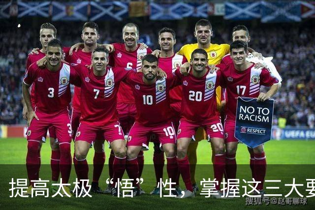 提高太极“悟”性，掌握这三大要素！